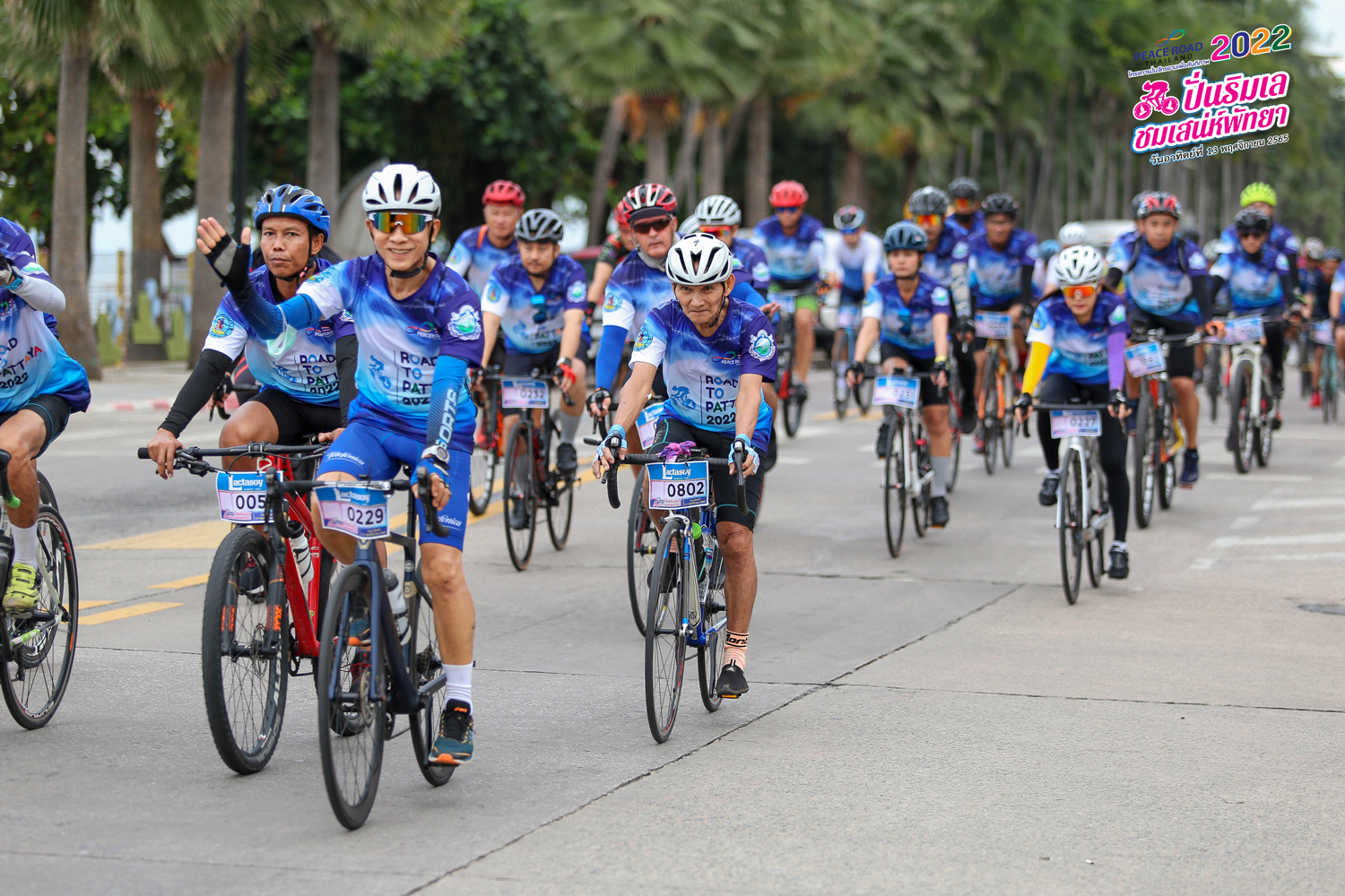 peaceroad2022-993