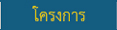 menupeace-volunteer1 03